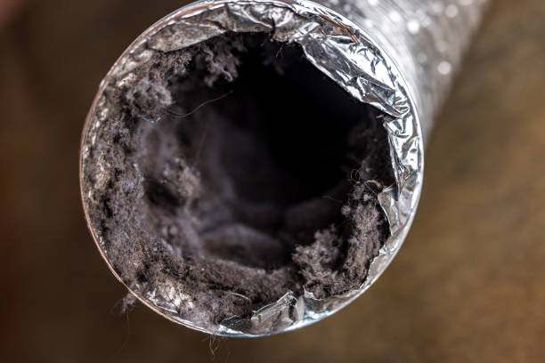 Best Professional Duct Cleaning Services  in Burns Harbor, IN