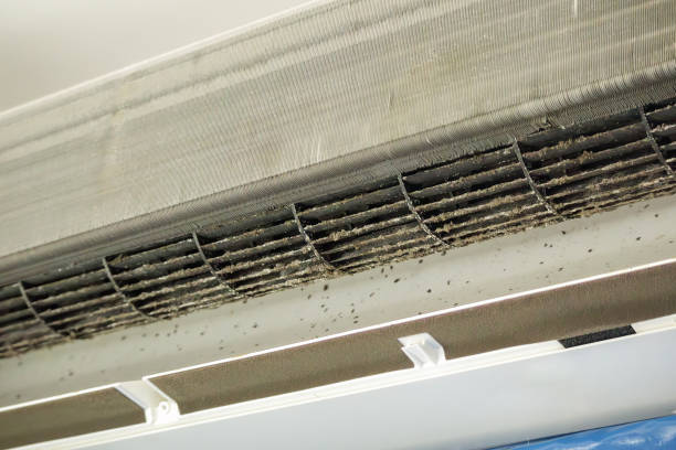 Best Emergency Air Duct Cleaning  in Burns Harbor, IN